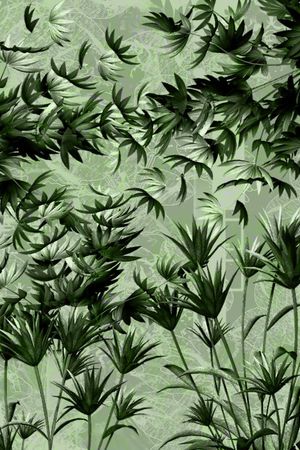 零点--泳装印花花型图片