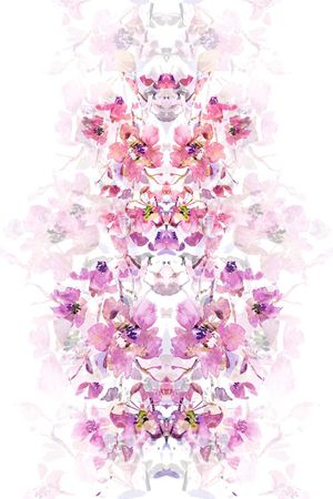 花卉印花花型图片