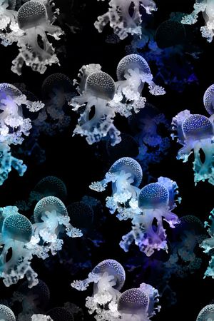 海洋生物印花花型图片