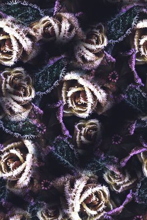 迷幻印花花型图片