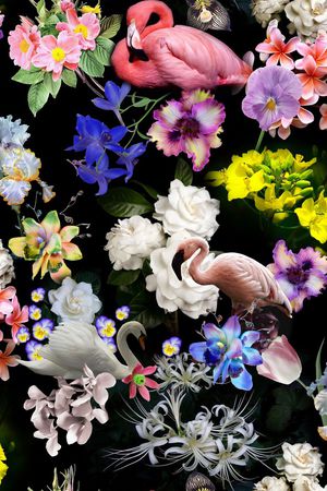 花卉印花花型图片