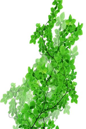 热带印花花型图片