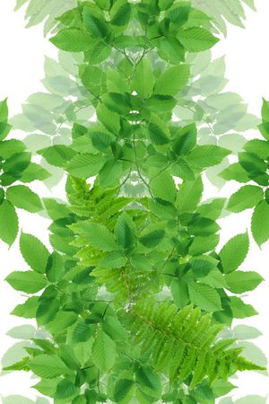 绿叶印花花型图片