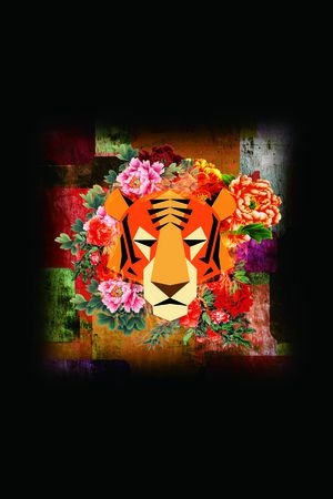 欧美印花花型图片
