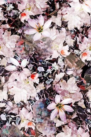 抽象、花卉、纹理印花花型图片