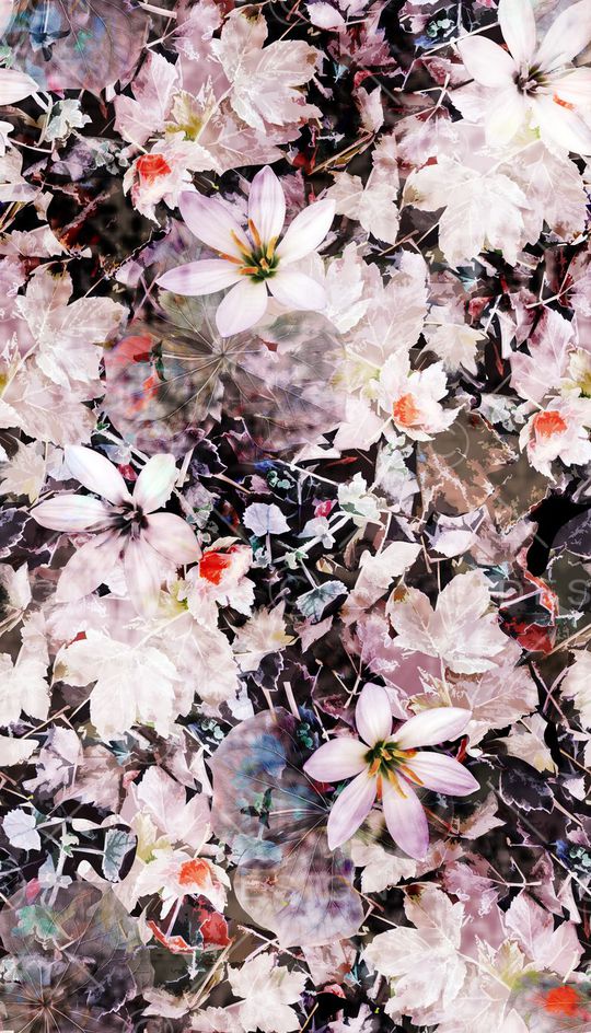 抽象、花卉、纹理印花花型图片