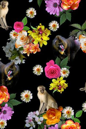 textile印花花型图片