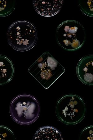 欧美大牌风格印花花型图片