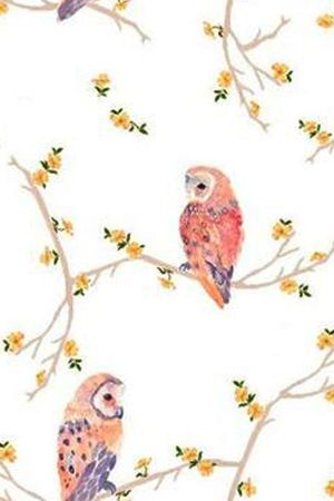 欧美印花花型图片