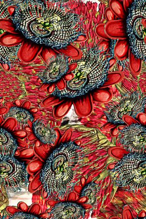 东南亚印花花型图片