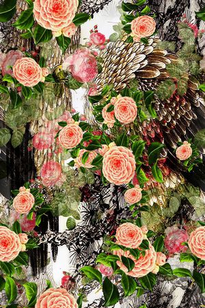 花卉印花花型图片