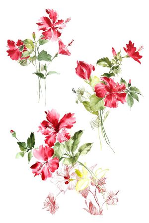 高清花卉印花花型图片