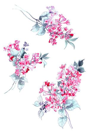 高清花卉印花花型图片