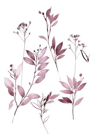 高清花卉印花花型图片