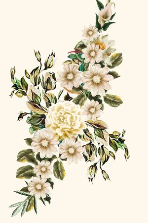 杜嘉班纳印花花型图片
