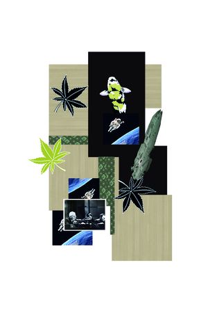 太空印花花型图片