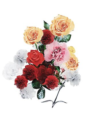 独朵印花花型图片
