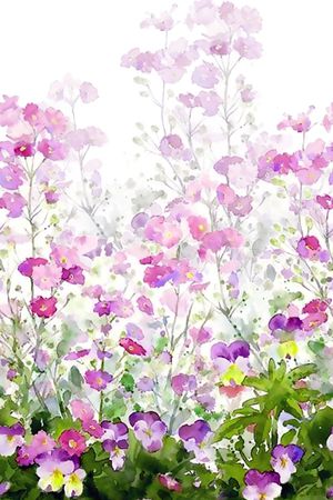 花卉。手绘印花花型图片