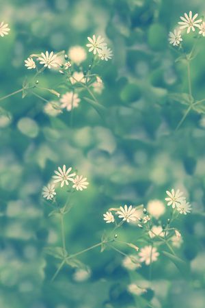 时尚印花花型图片