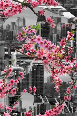 桃花印花花型图片