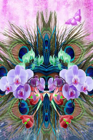 蝴蝶兰、热带植物、孔雀毛印花花型图片
