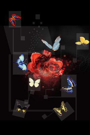 菱形印花花型图片