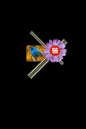 花卉印花花型图片
