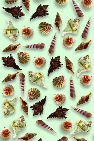 海洋生物印花花型图片