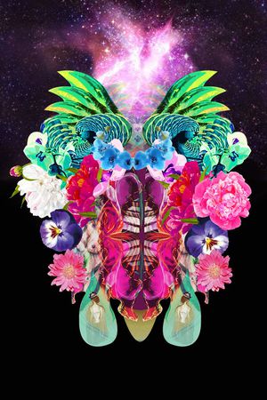定位印花花型图片