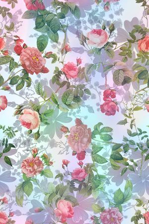零点--女装印花花型图片