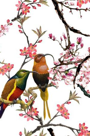 花鸟印花花型图片
