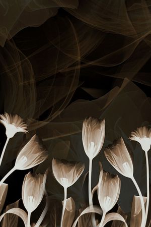 水墨印花花型图片