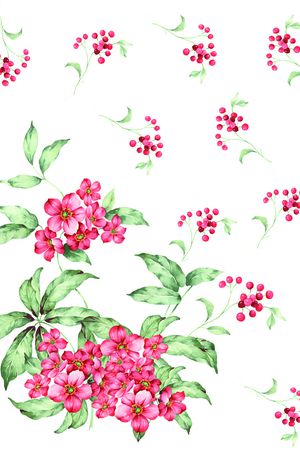 牡丹印花花型图片