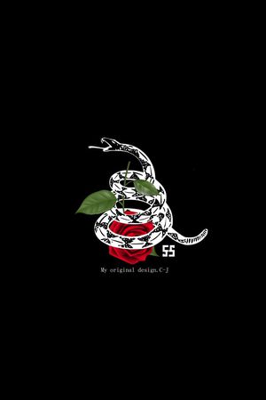 原创印花花型图片