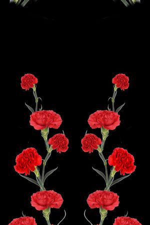 围巾花型印花花型图片