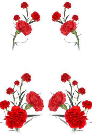 定位印花花型图片