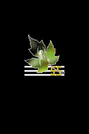 原创印花花型图片