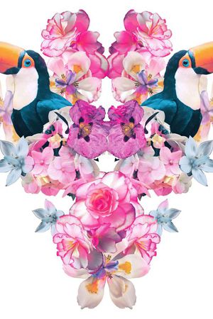 花朵印花花型图片