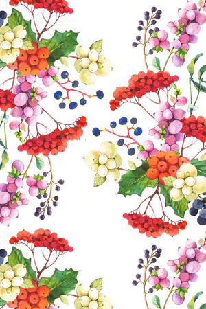 水果葡萄提子蓝莓印花花型图片