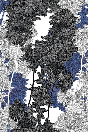 时尚印花花型图片