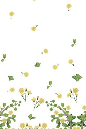 雏菊印花花型图片
