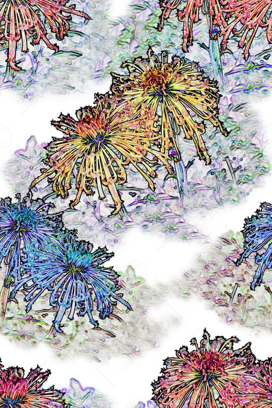 写意。印花花型图片