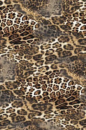 老虎印花花型图片