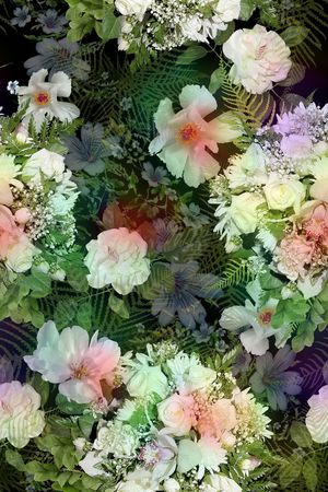 零点--女装印花花型图片