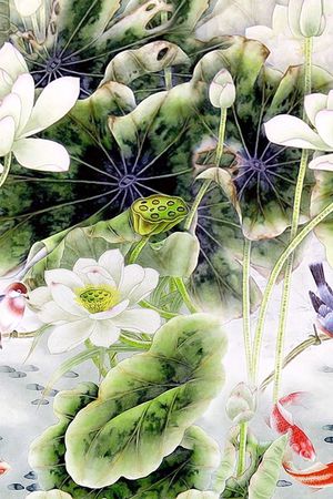 荷花印花花型图片