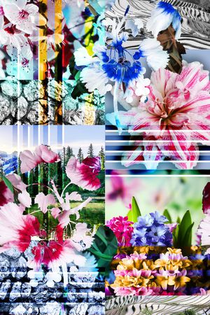 花卉、纹理、风景印花花型图片