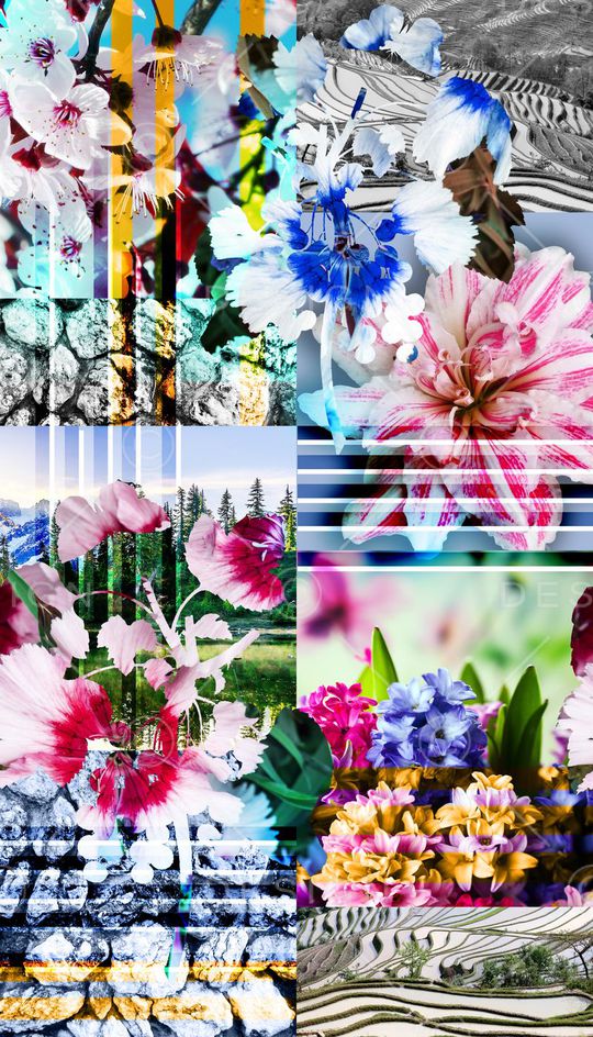 花卉、纹理、风景印花花型图片