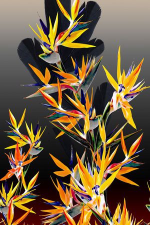 定位印花花型图片