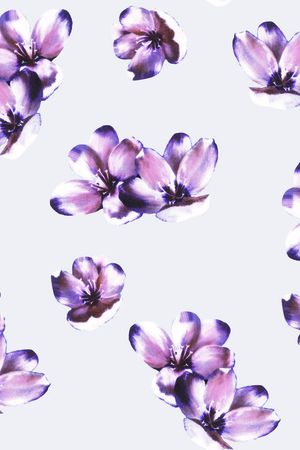 花朵印花花型图片