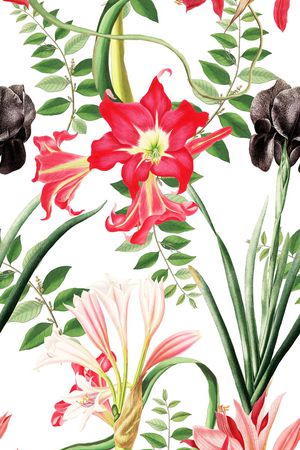 清爽印花花型图片